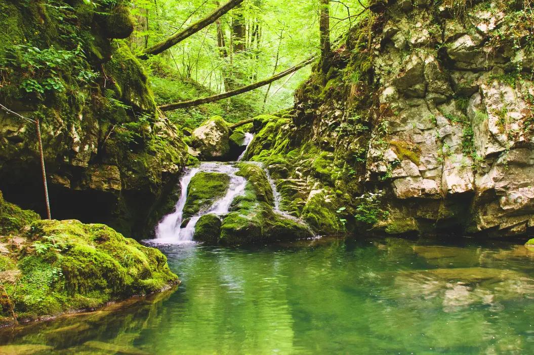 cascata nel bosco vicino a campo di bonis sulle alpi giulie a taipana