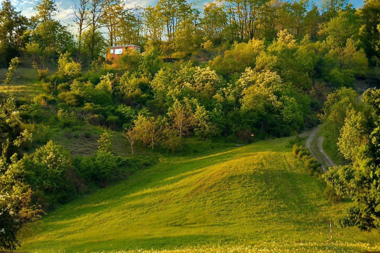 Minihaus im Wald in der Emilia-Romagna
