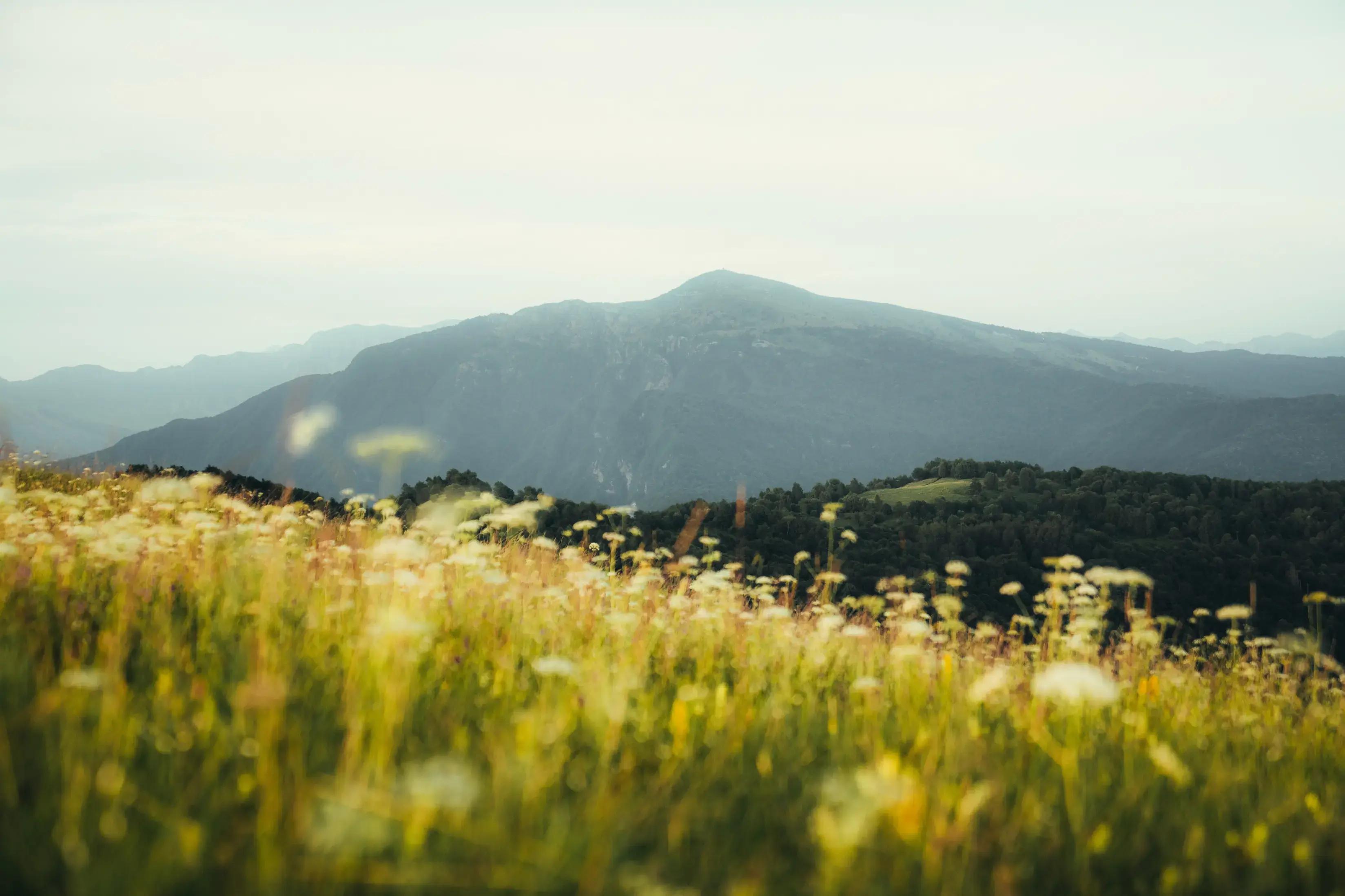 prato sulle prealpi Giulie a torreano