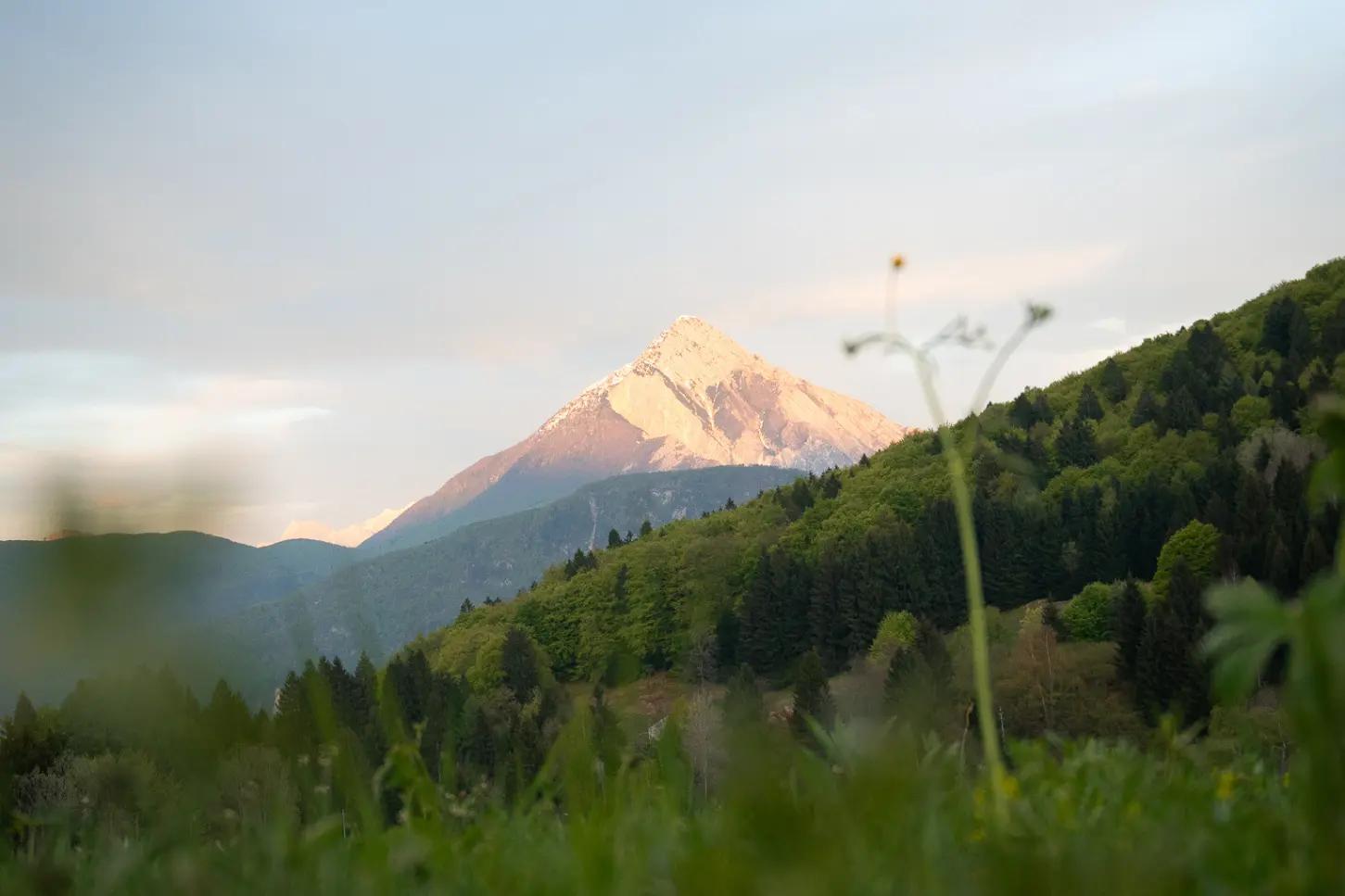 monte sull Altopiano di Curiedi nelle Prealpi Carniche