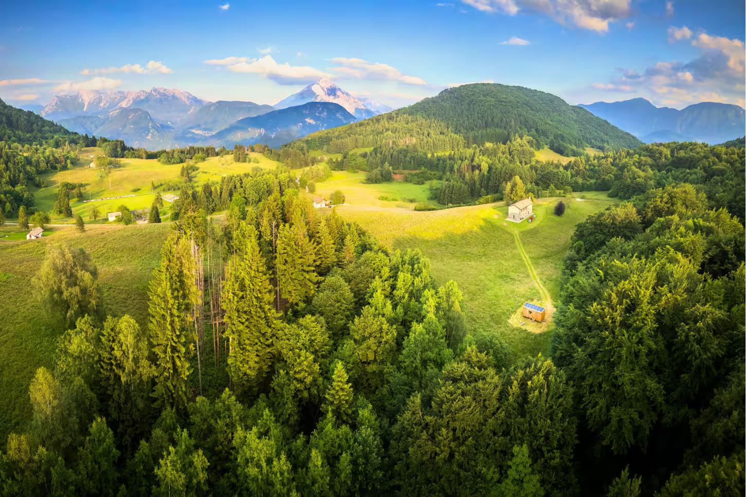 dintorni tiny house altopiano di curiedi nelle Prealpi Carniche