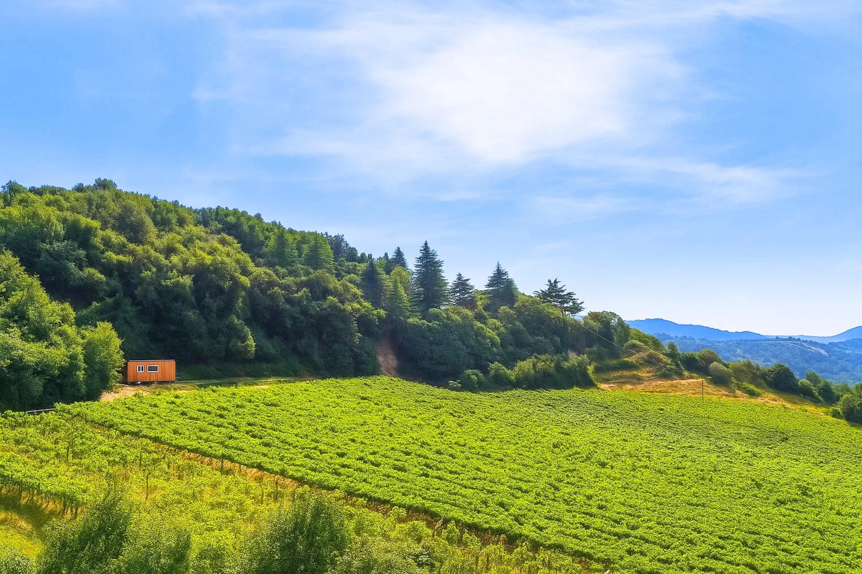 Tiny house with a panoramic view near the woods in Molina