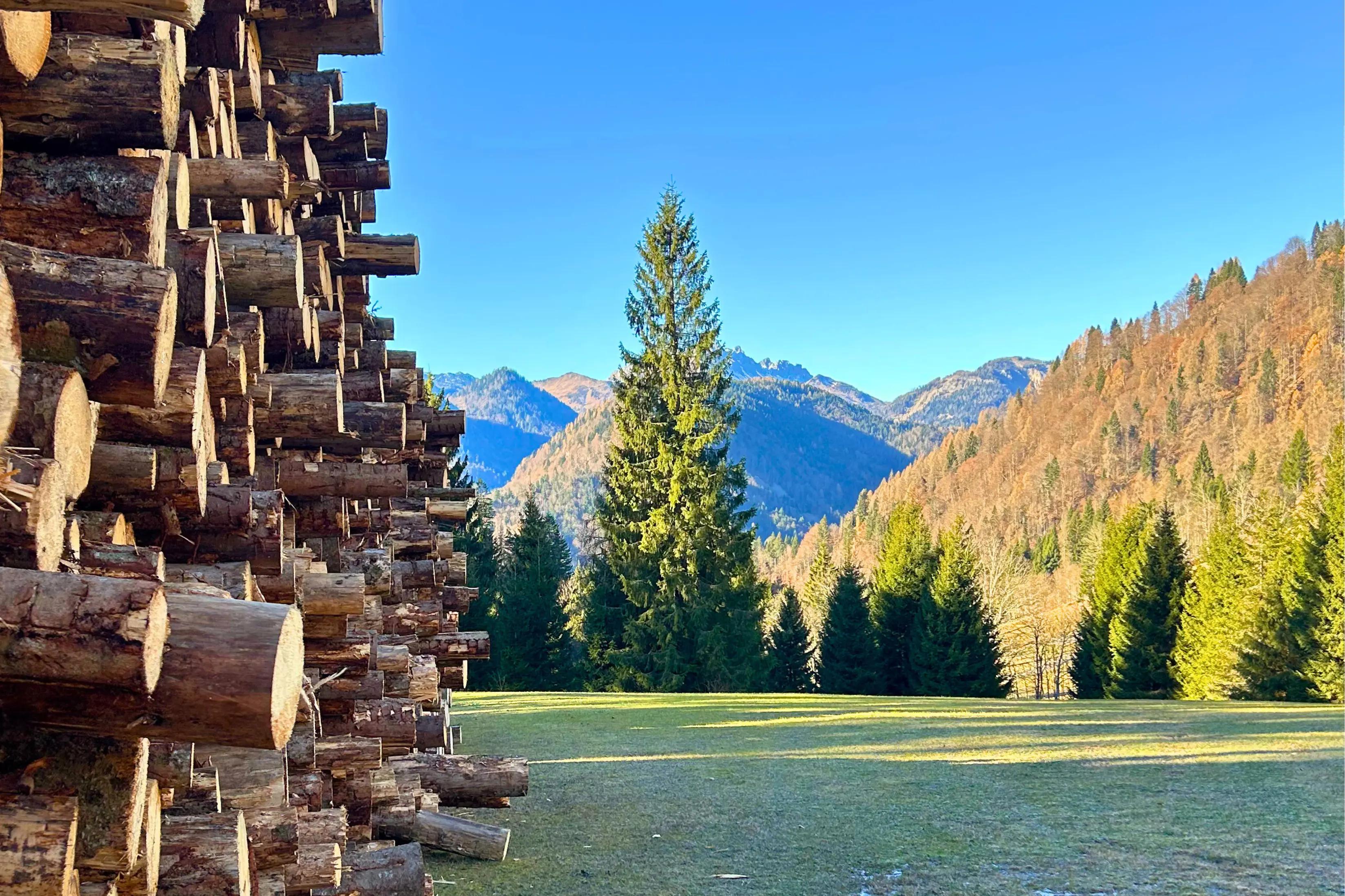 dintorni della casetta sulle alpi carniche a sauris